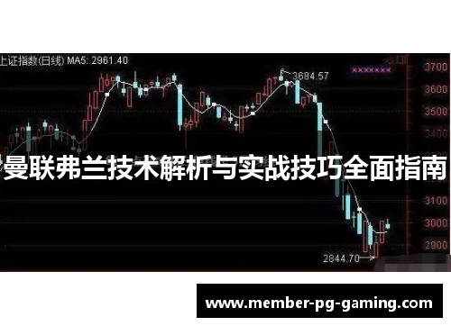 曼联弗兰技术解析与实战技巧全面指南